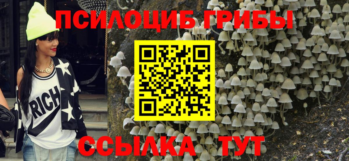 Галлюциногенные грибы MAGIC MUSHROOMS  Вход с VPN  Псилоцибиновые грибы Psilocybe  Мурино 